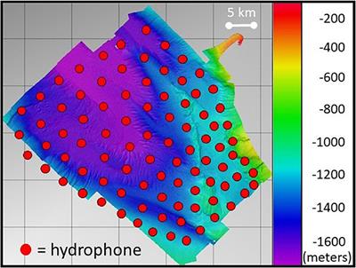 Spatial Analysis of Beaked Whale Foraging During Two 12 kHz Multibeam Echosounder Surveys